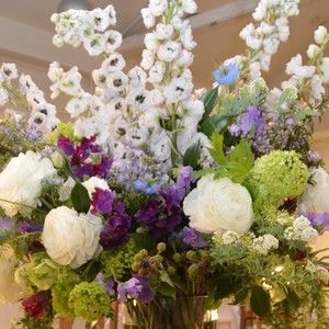 Meet your Posher, Robyn